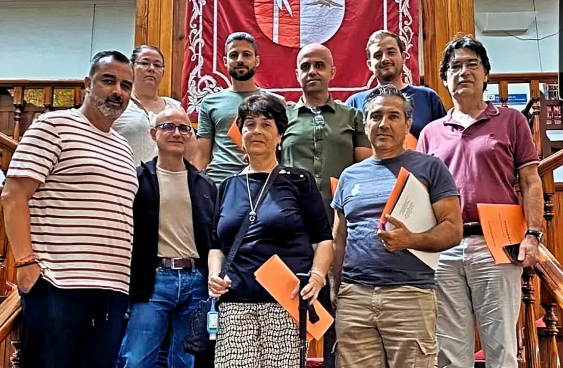 Arona Consejo Patrimonio Hist&oacute;rico(1)