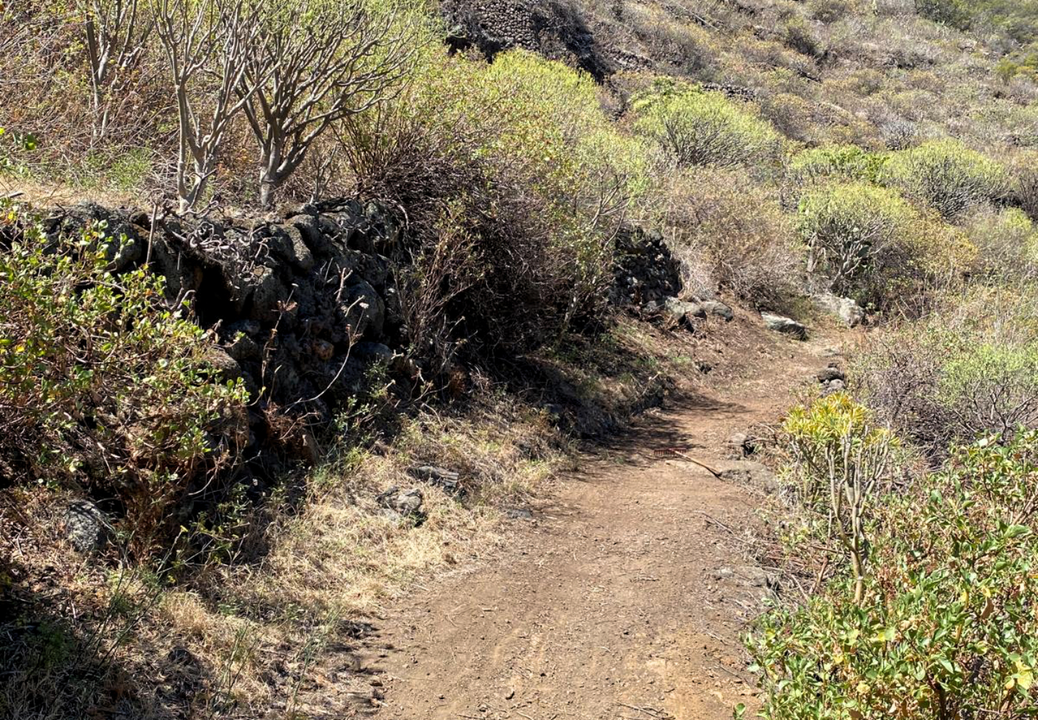 Camino La Trojita
