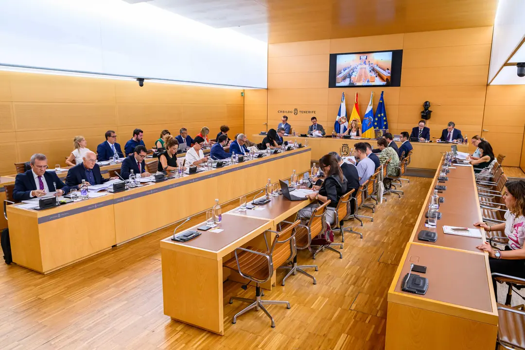 Cabildo-Pleno-Mejora presupuesto[87056]