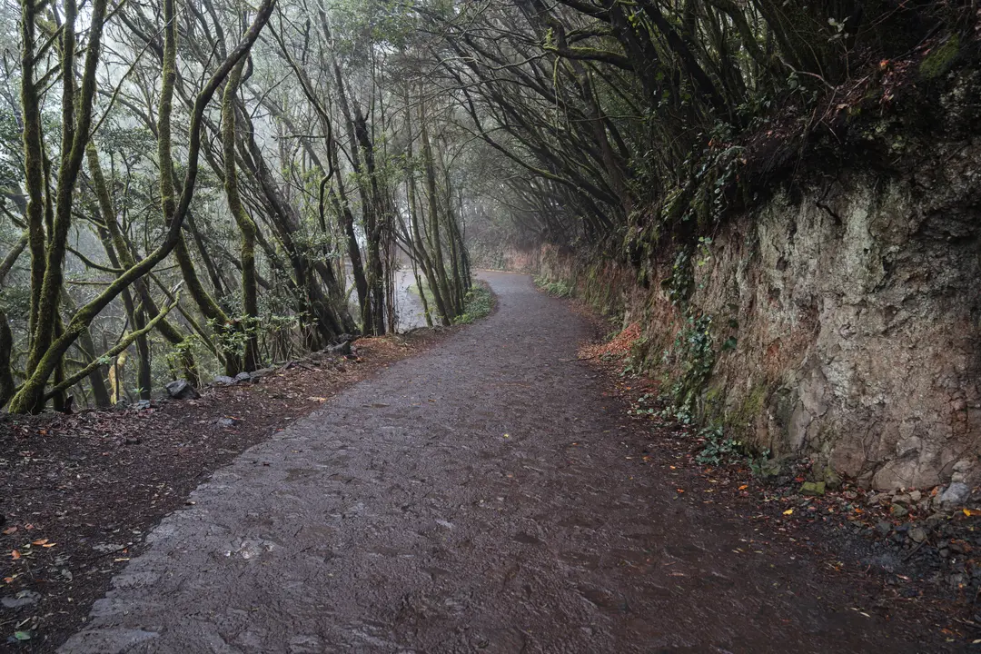 Acceso a El Cedro - Las Mimbreras en La Gomera