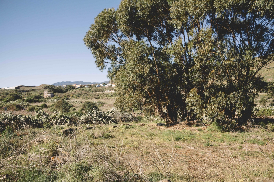 Laguna Era_El_Brujito(1)