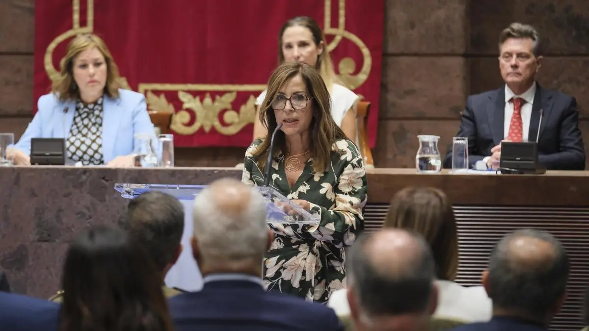 Lola Padr&oacute;n es diputada del Com&uacute;n desde mayo del a&ntilde;o pasado.
