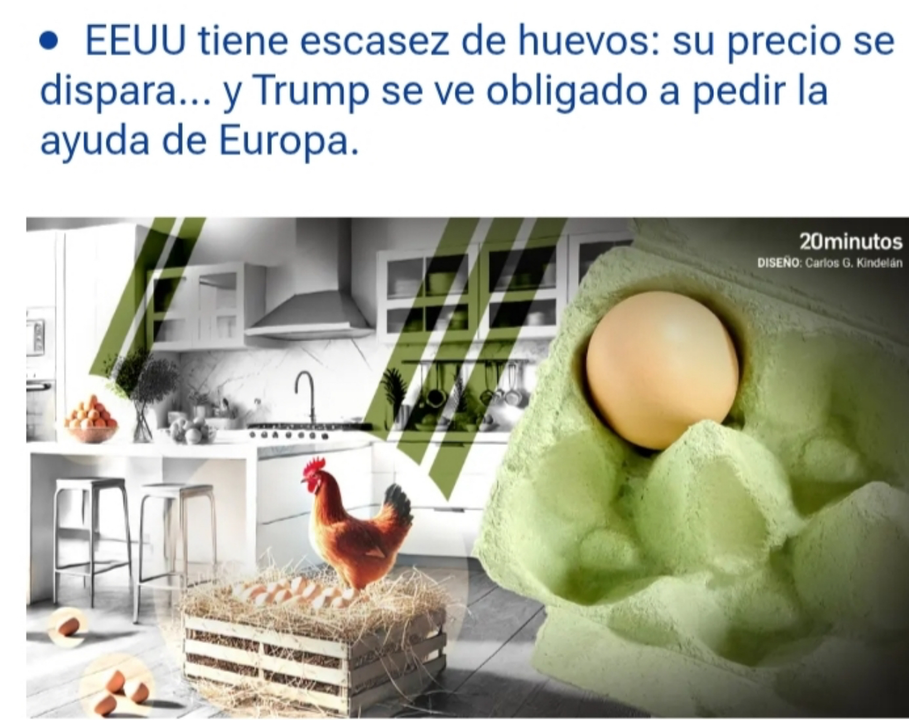 Gallina _194956(1)