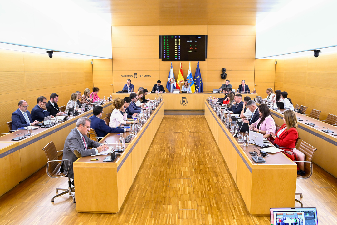 Cabildo 20250529_Pleno-15(1)