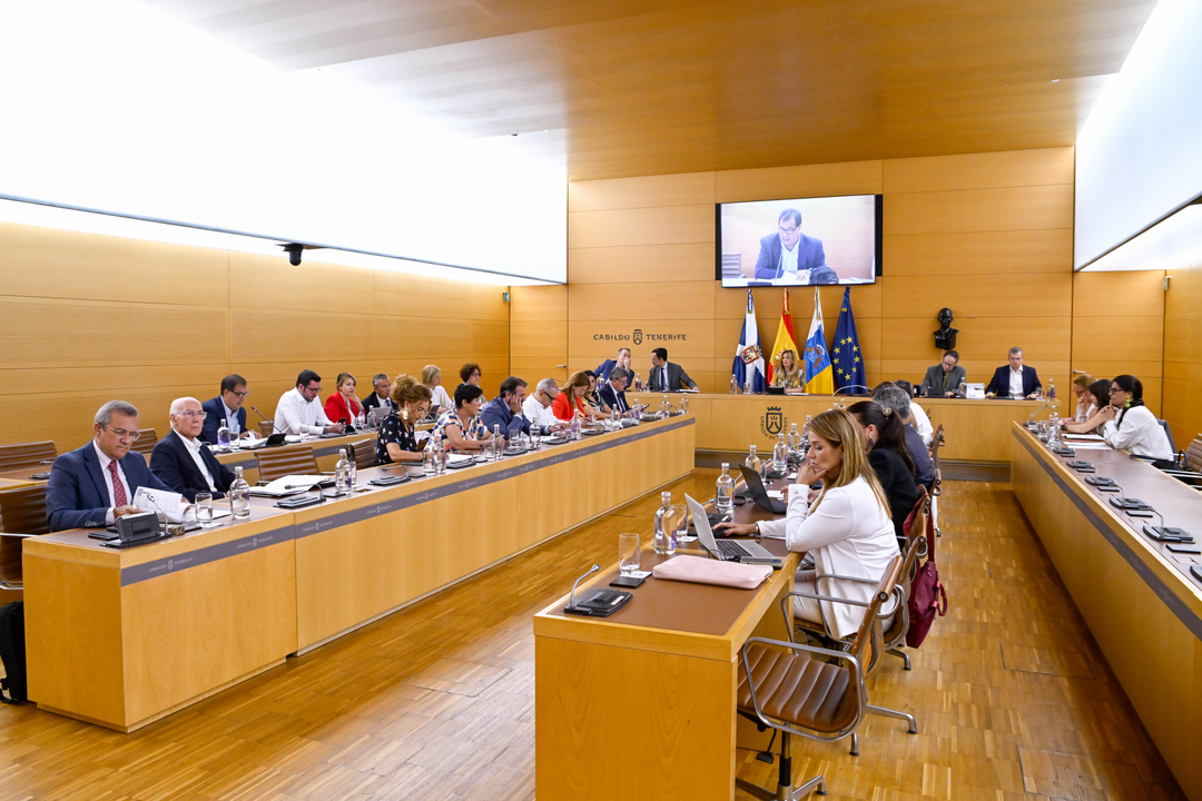 Cabildo Pleno-12(1)