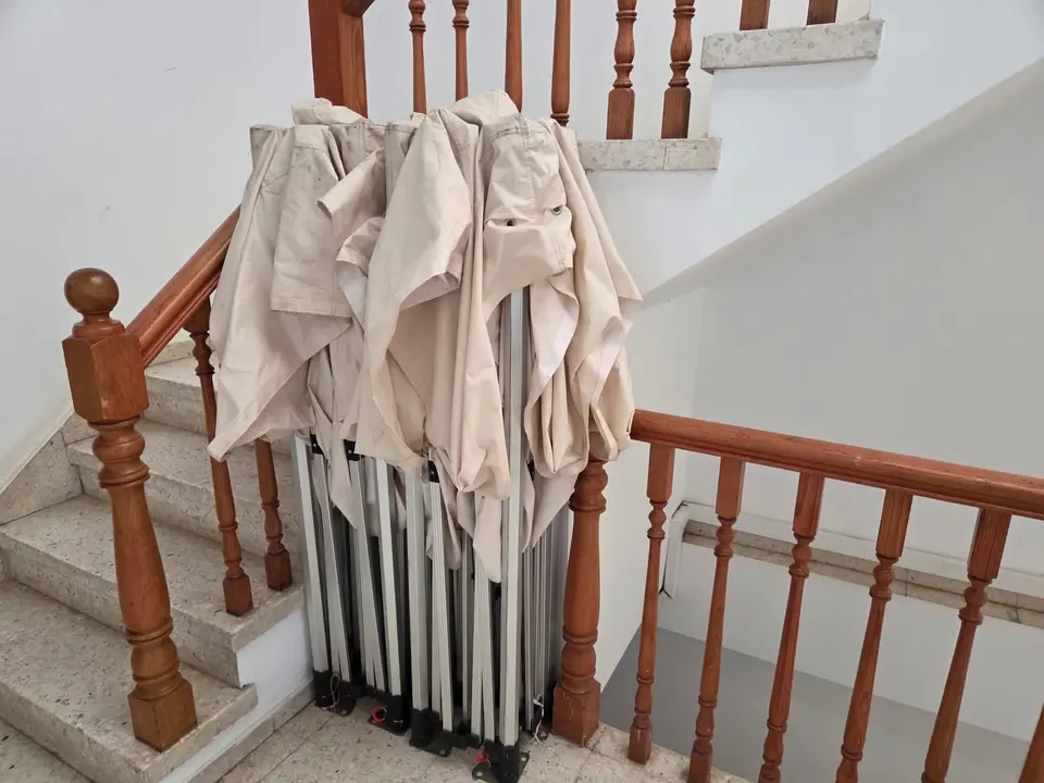 La docena de carpas que no se encuentran son como estas