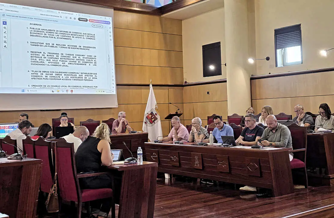 Pleno Presupuestos Candelaria