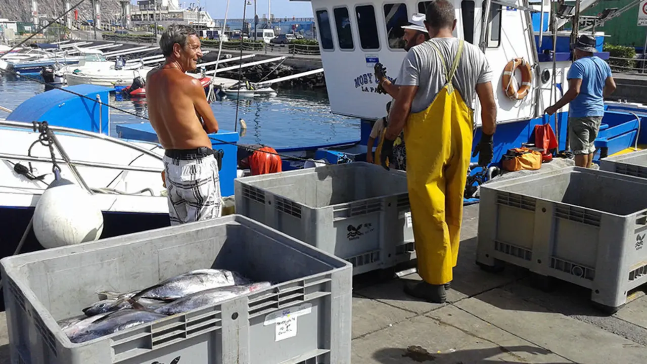 pescadores de los Cristianos 737