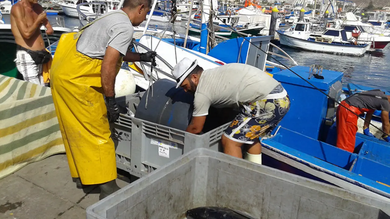 Pescadores de los Cristianos