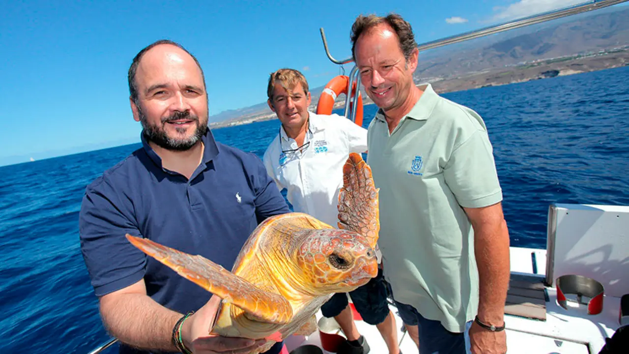 Adeje-Tortuga recuperada CRFS La Tahonilla 00