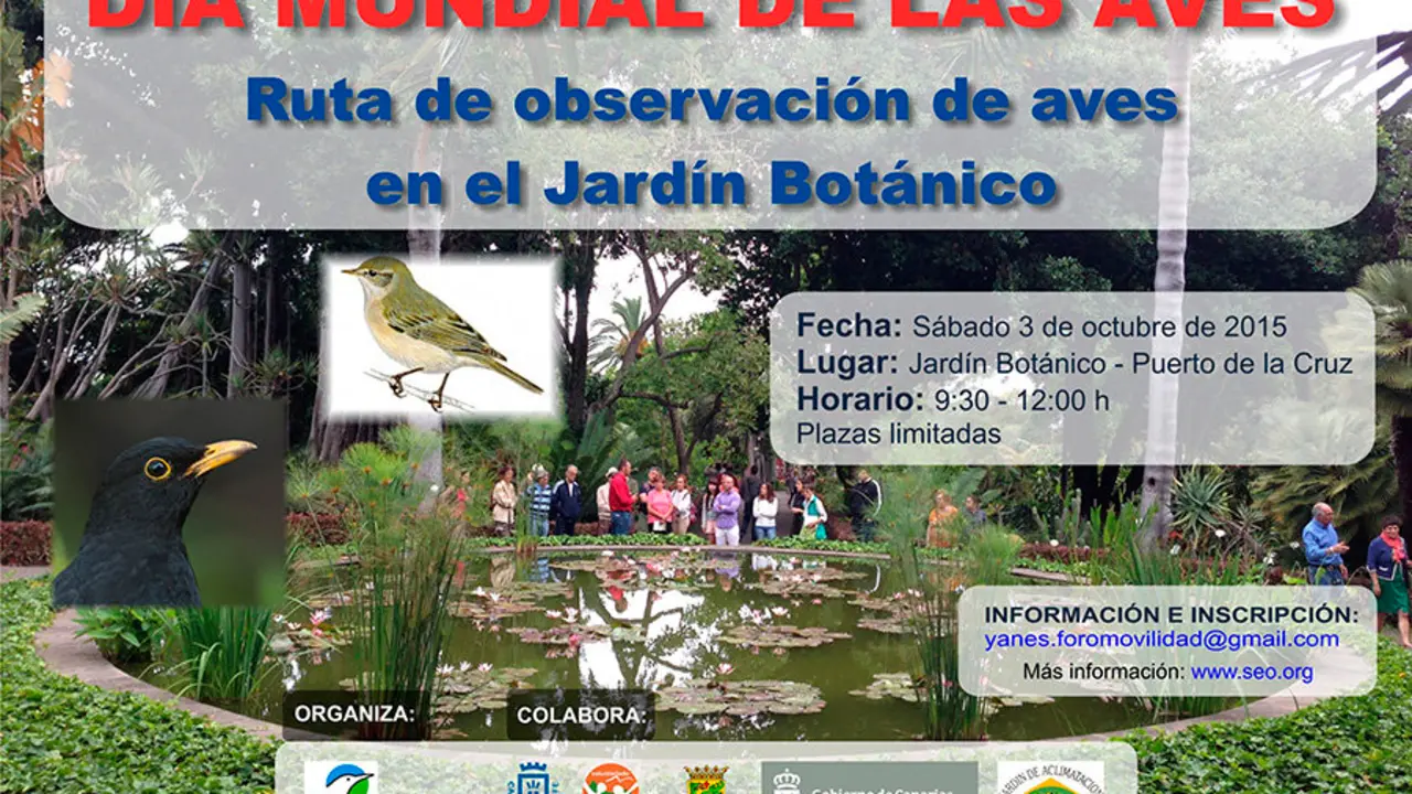 Cartel visita aves