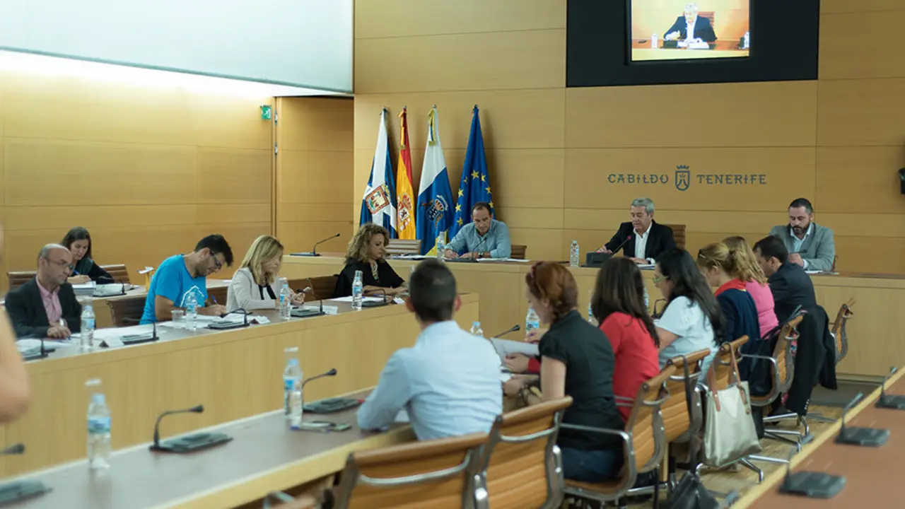 Constituci&oacute;n Consejo Vivienda/Tony Cuadrado Freelancer