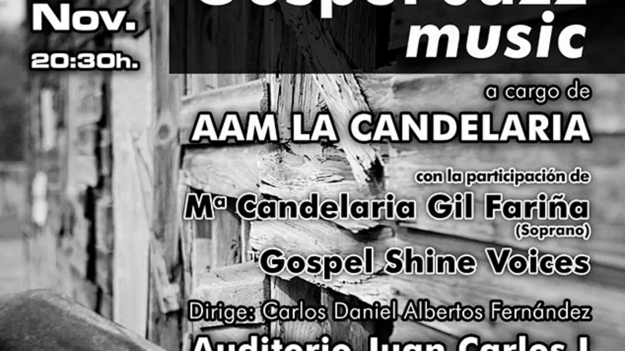 cartel concierto