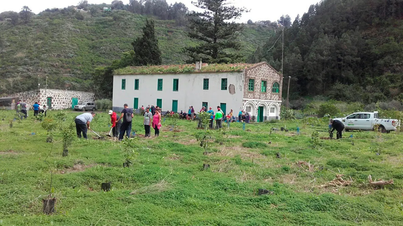 Reforestaci&oacute;n