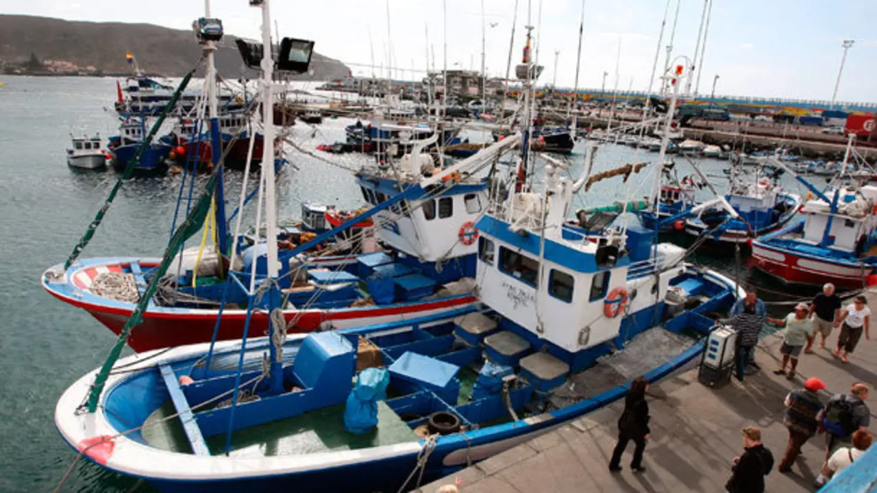 los-cristianos-flota-pesca-2