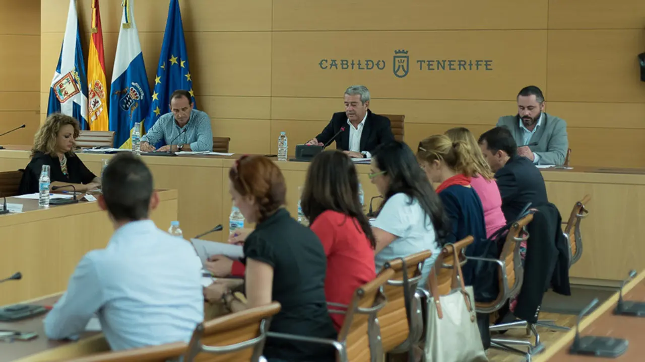 Constituci&oacute;n Consejo Vivienda/Tony Cuadrado Freelancer