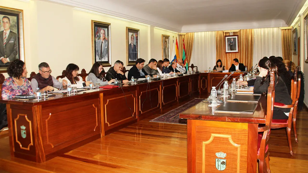pleno_25_enero