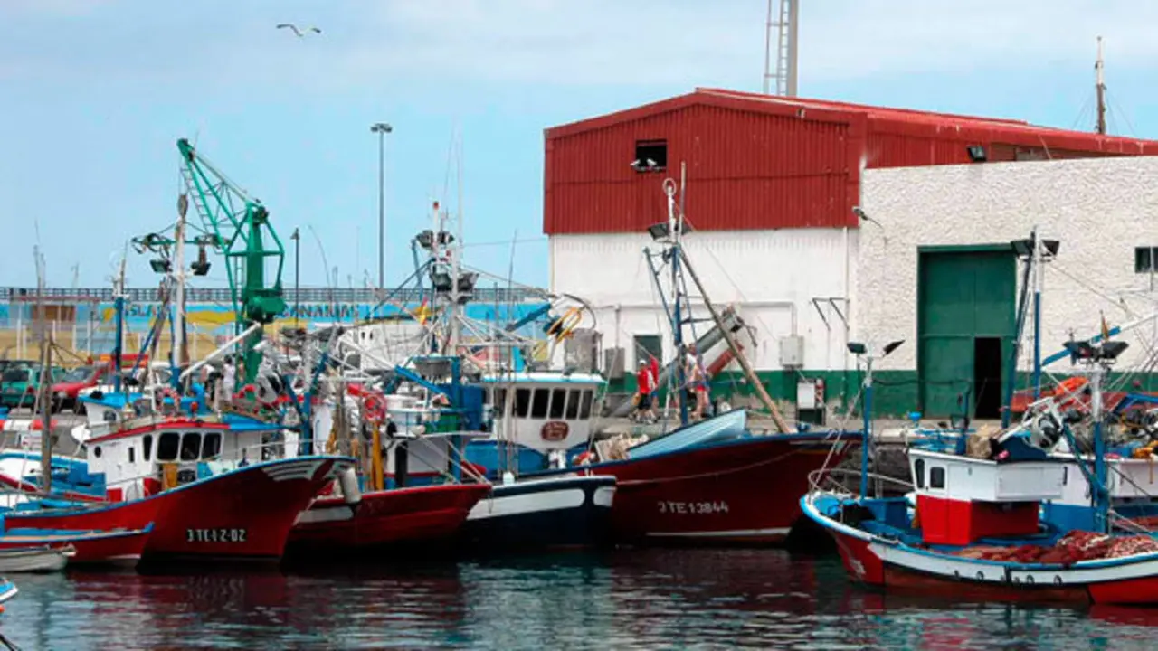 cofradia-pescadores-los-cristianos