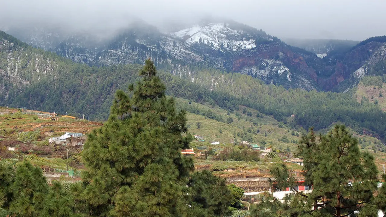 nieve arafo1