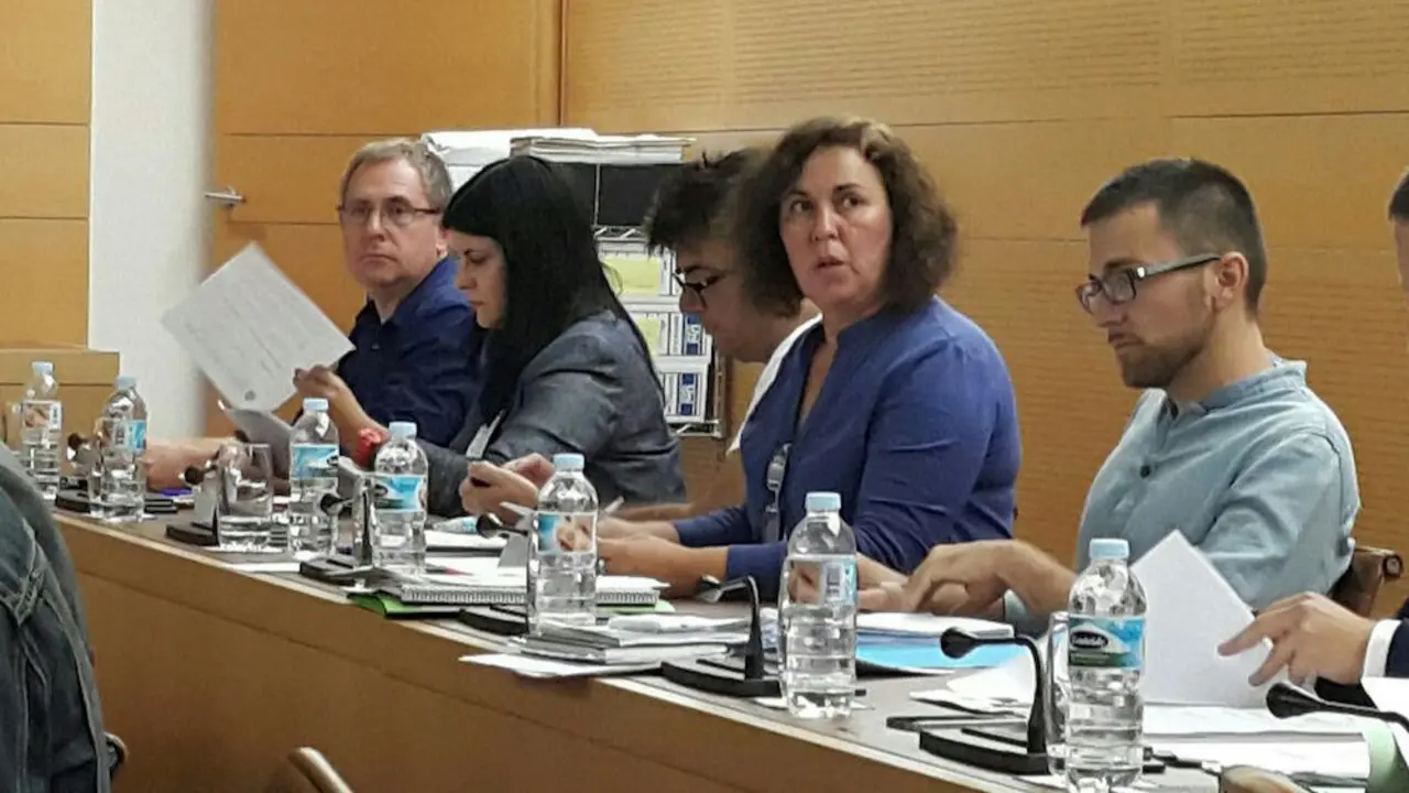 Foto del Grupo Insular de Podemos en pleno del Cabildo Tenerife