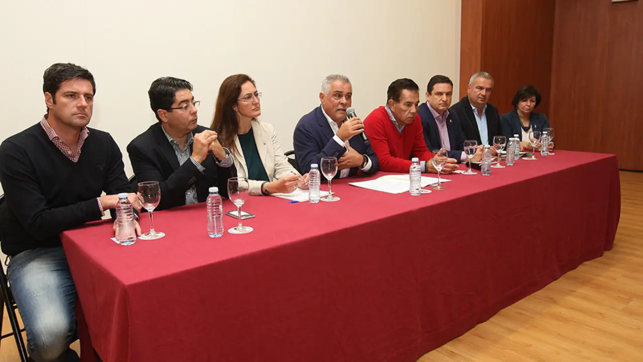 ALCALDES DEL SUR 978