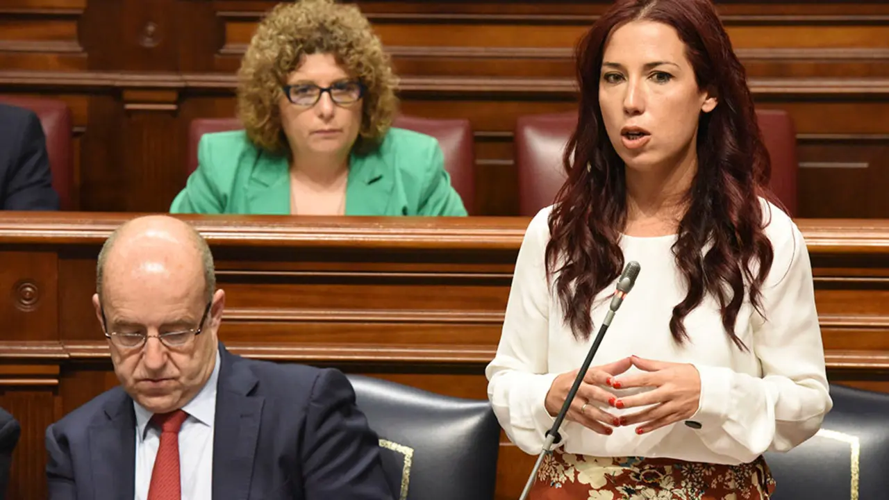 PATRICIA HERNANDEZ EN EL PARLAMENTO