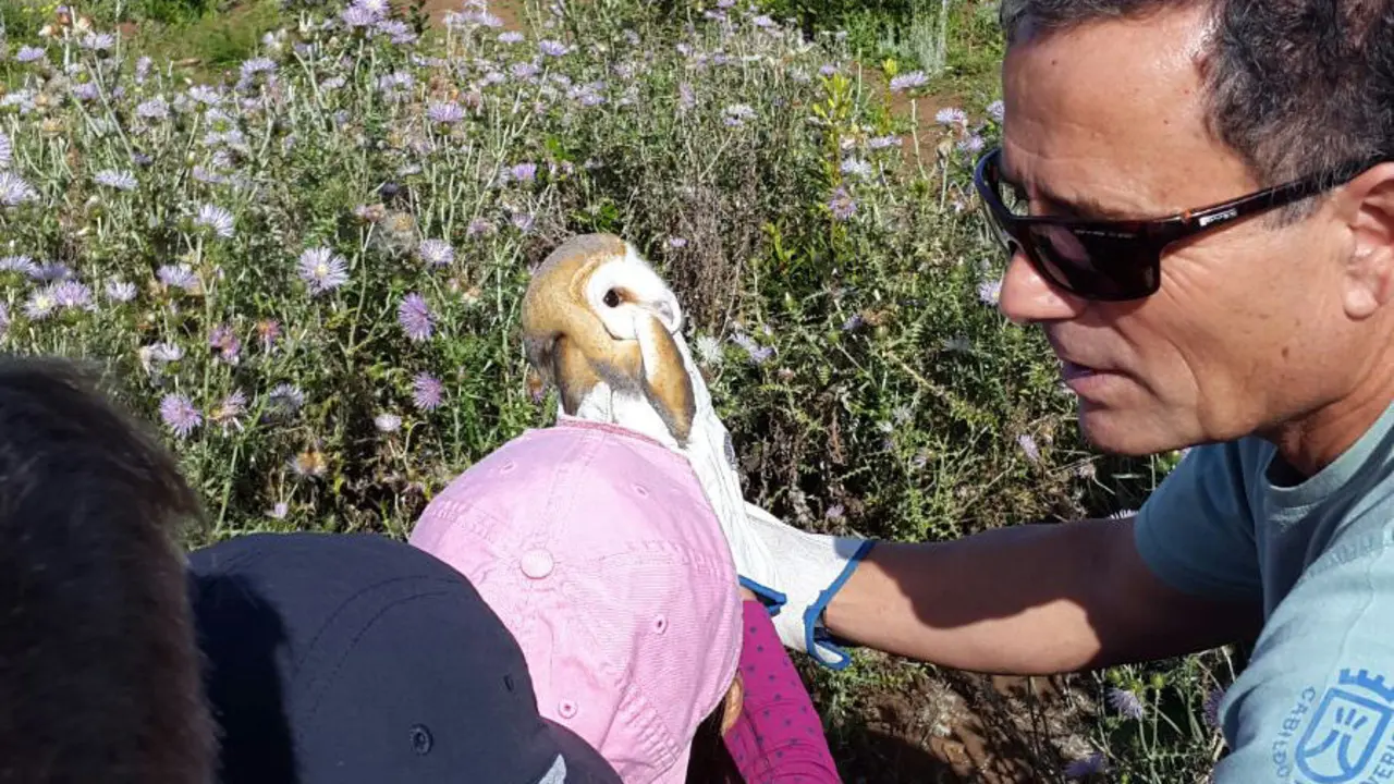 Voluntariado Ambiental 00