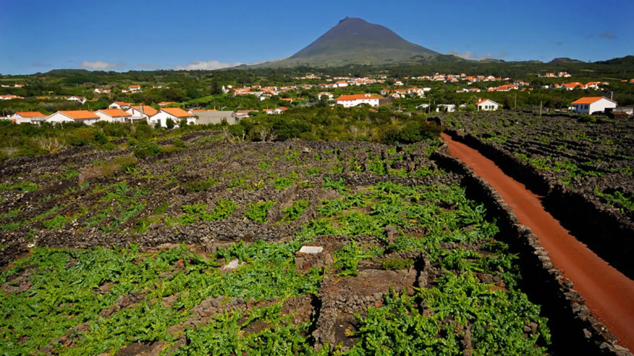 CIVA 2016. Azores 2
