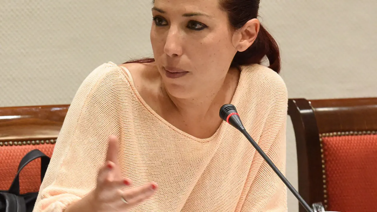Patr&iacute;cia Hern&aacute;ndez Comisi&oacute;n Parlamentaria 1