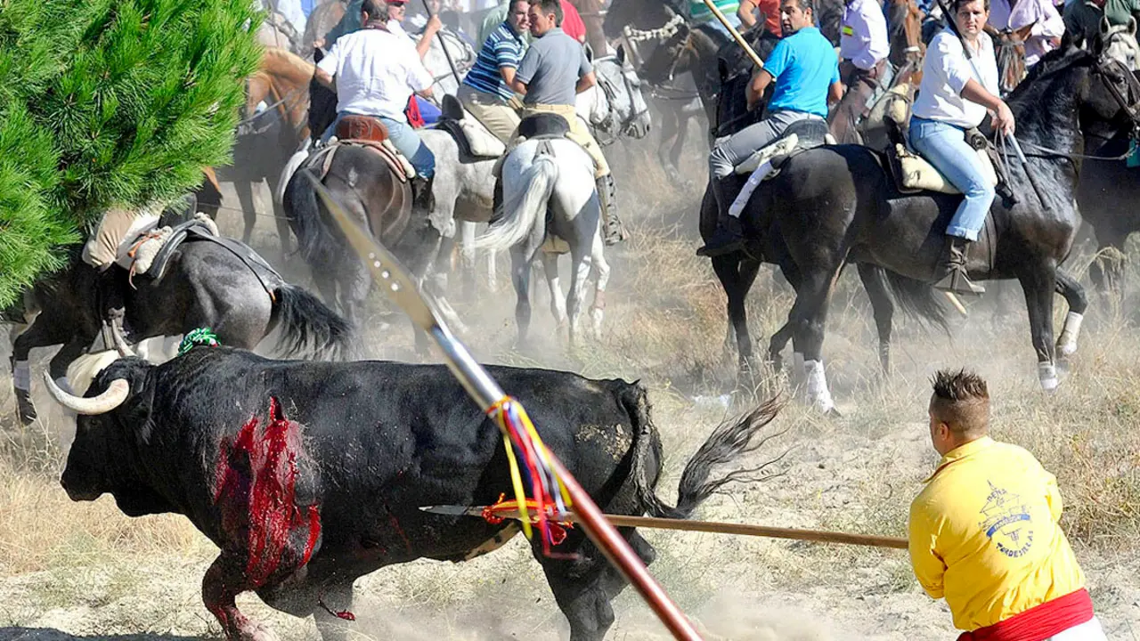 toro-de-la-vega