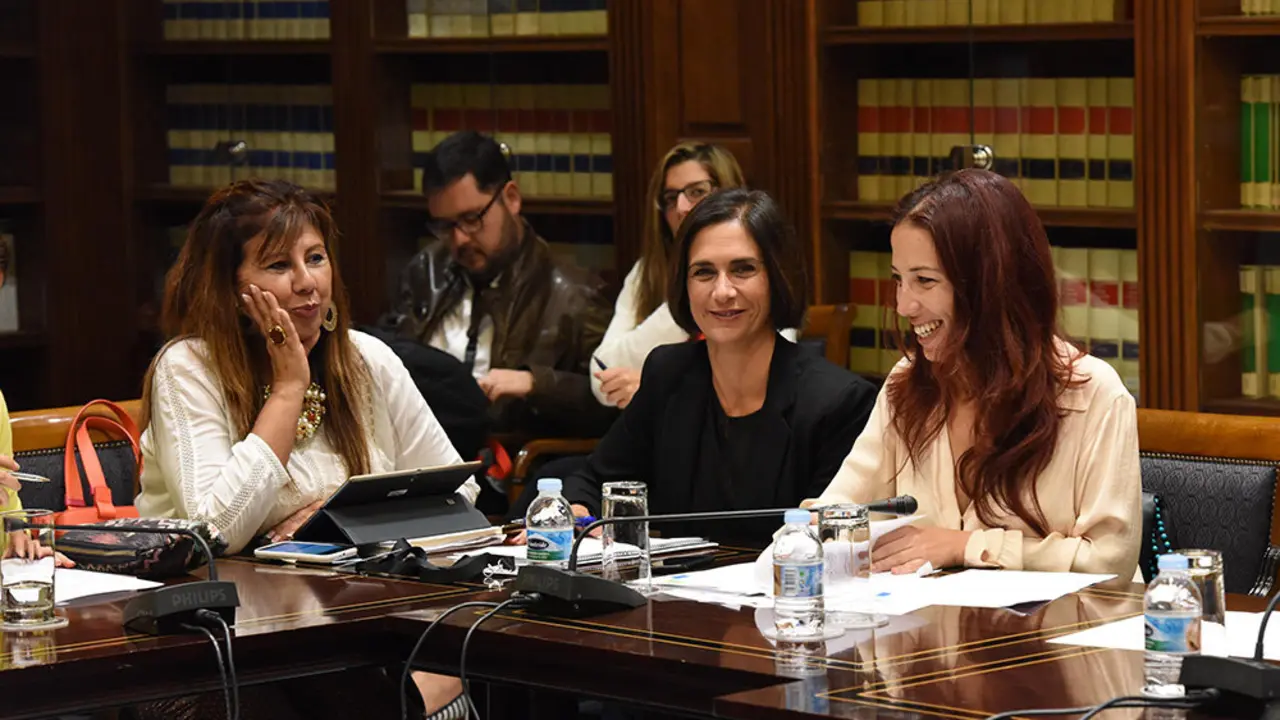 Comisi&oacute;n Discpacidad 2