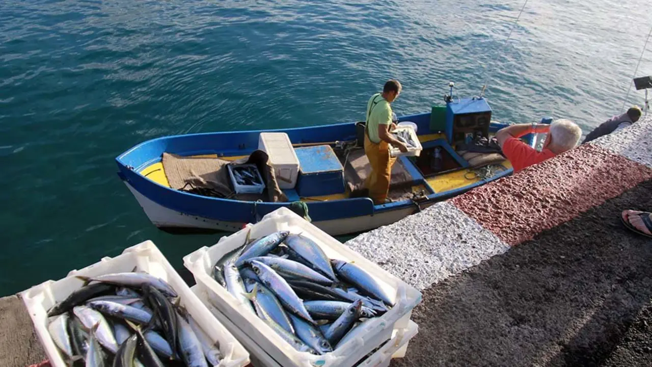 Pescadores regresan a puerto con sus capturas en Playa San Juan (4)