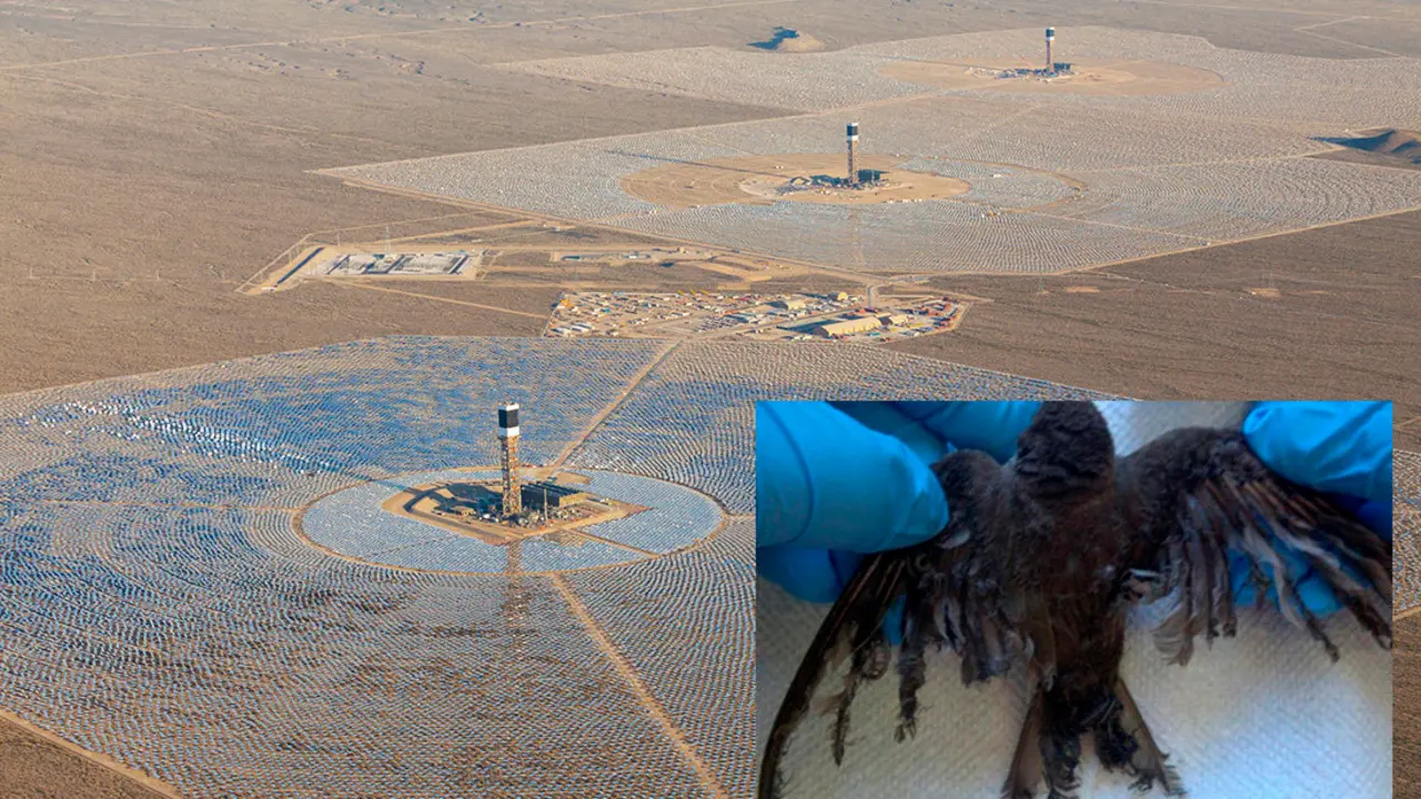 ivanpah-solar-pp-02