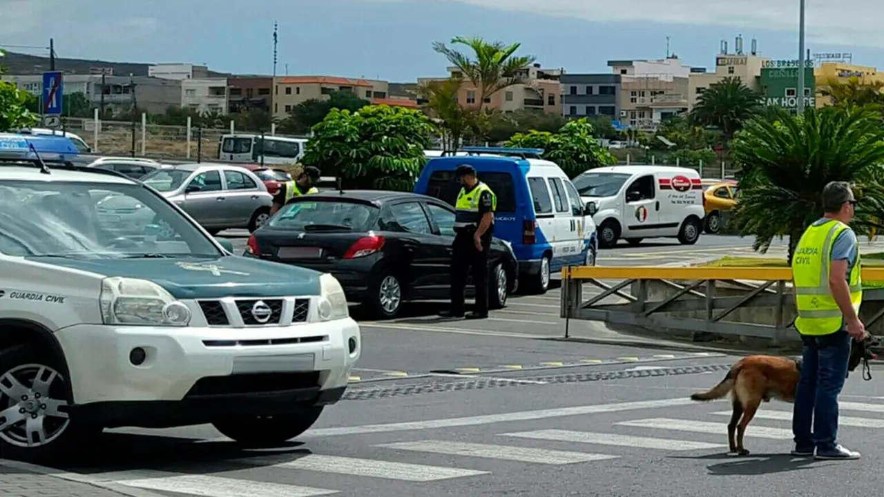 polic&iacute;a y guardia control