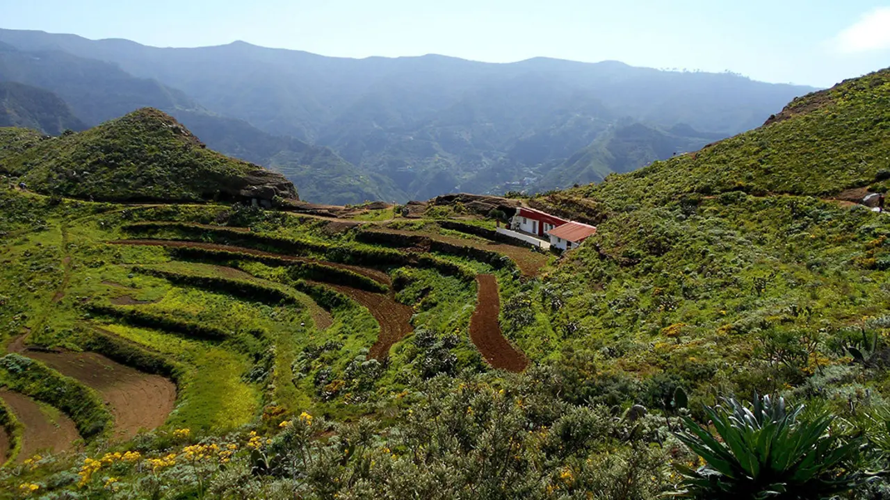 Anaga
