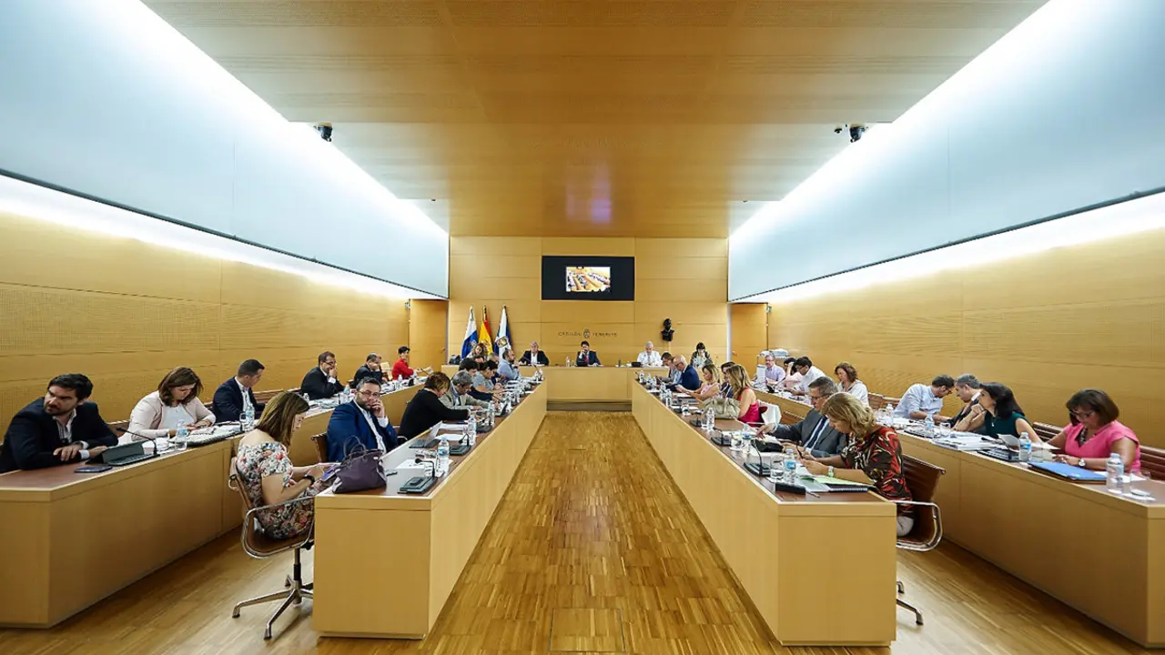 PLENO CABILDO TF