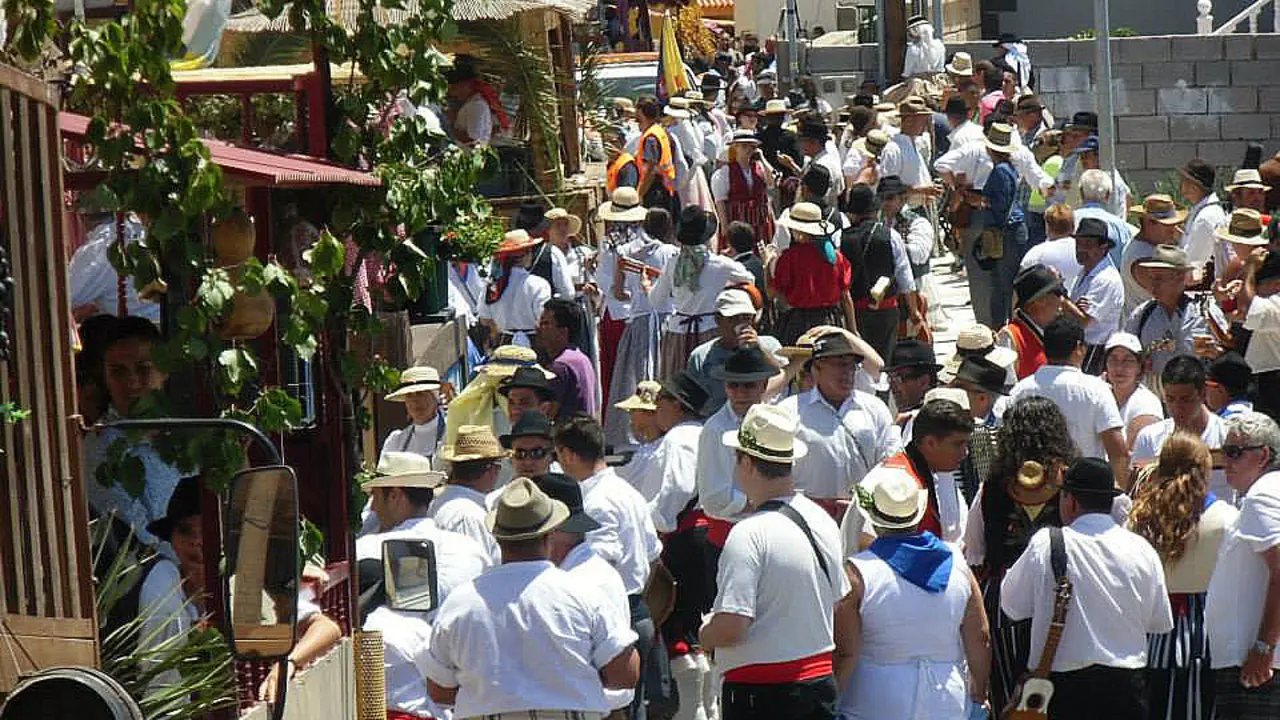 Romer&iacute;a Charco del Pino 1