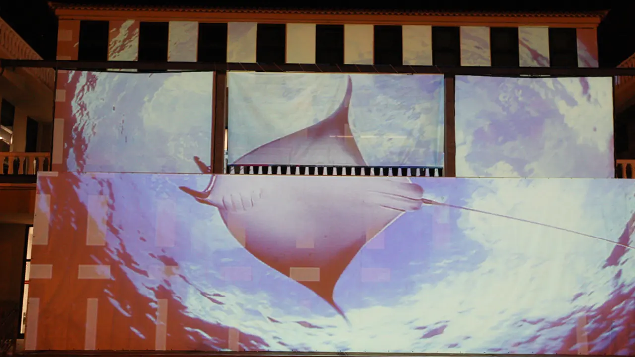 EXPOSICI&Oacute;N SERGIO HANQUET ARONA SON ATL&Aacute;NTICO 382