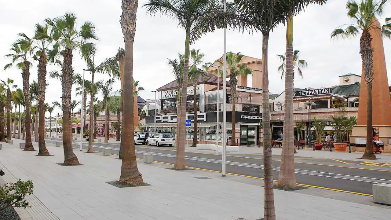 Avenida las am&eacute;ricas Surdetenerife