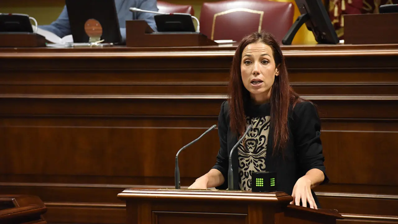 Patricia Hern&aacute;ndez Pleno intervenci&oacute;n plan contra la explotaci&oacute;n laboral 2