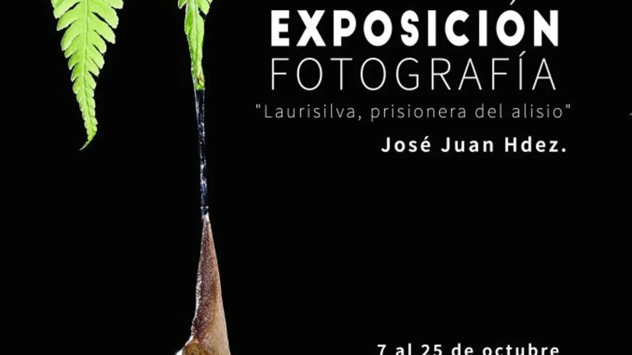 E3387_AMPL