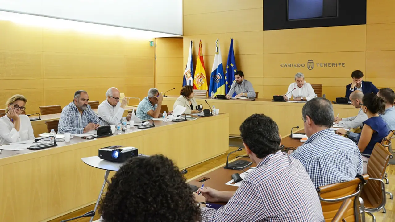Reuni&oacute;n ayuntamientos-Apoyo t&eacute;cnico Consejo Insular de Aguas