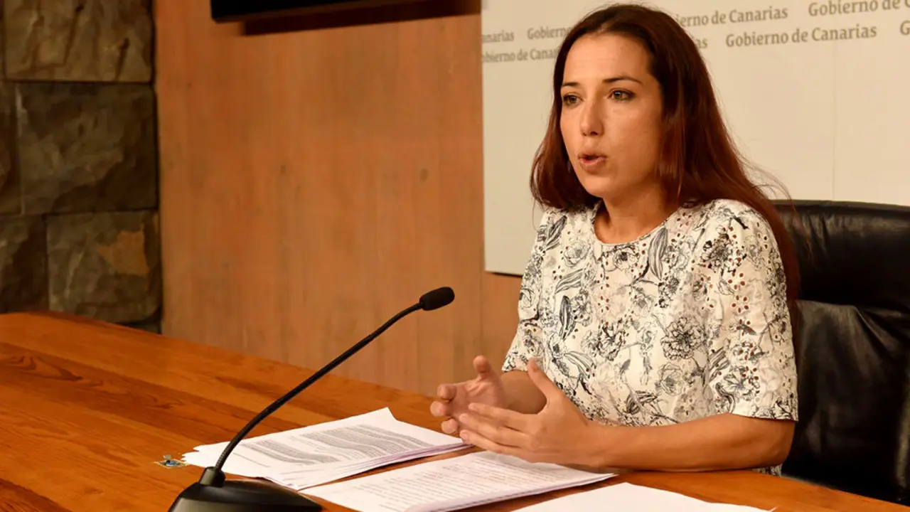 Patricia Hern&aacute;ndez Presentaci&oacute;n de la Ley de Servicios Sociales