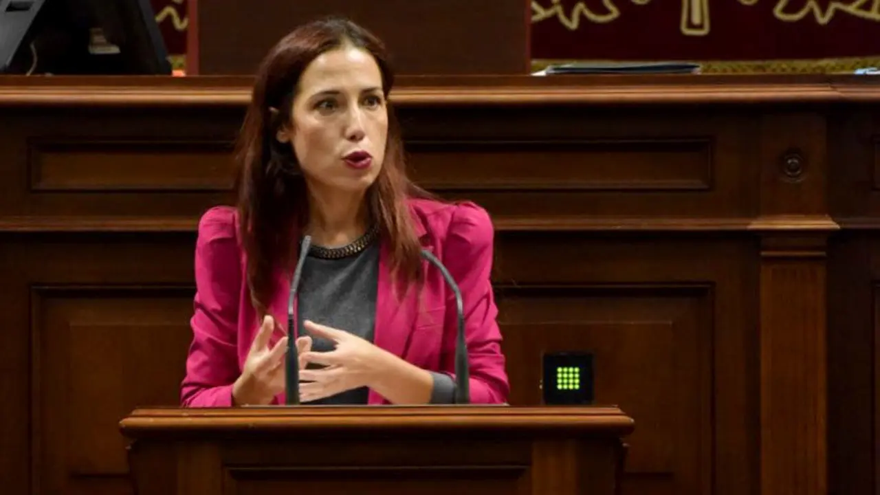261016 Patricia Hern&aacute;ndez en comparecencia parlamentaria 2