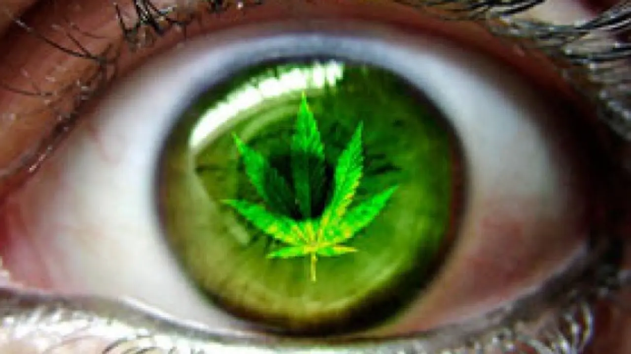 marihuana-mejora-visi&oacute;n