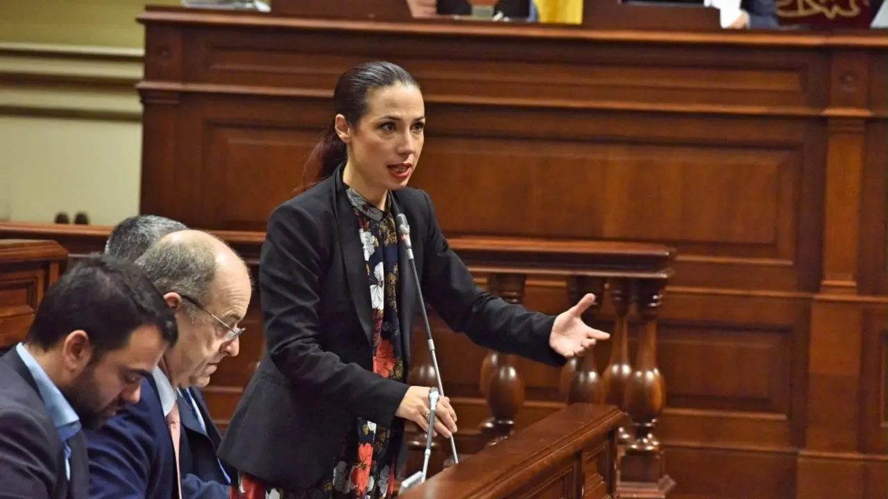 Patric&iacute;a Hern&aacute;ndez psoe