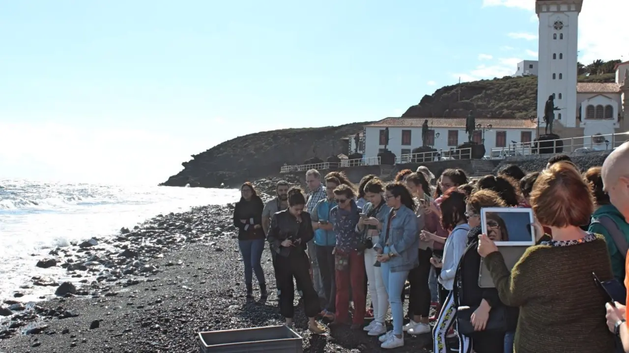 Suelta de la tortuga enero 2017 (1)_Fotor