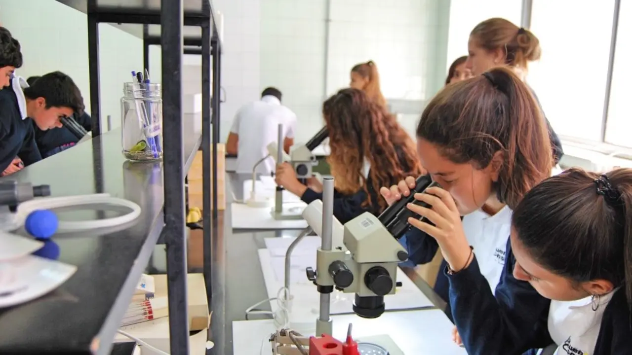 ULL INVESTIGACION ESTUDIANTES