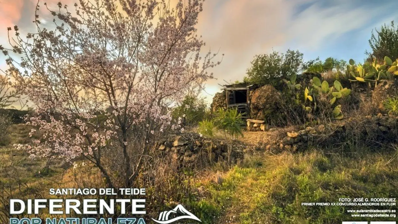 Cartel Santiago del Teide_Fotor