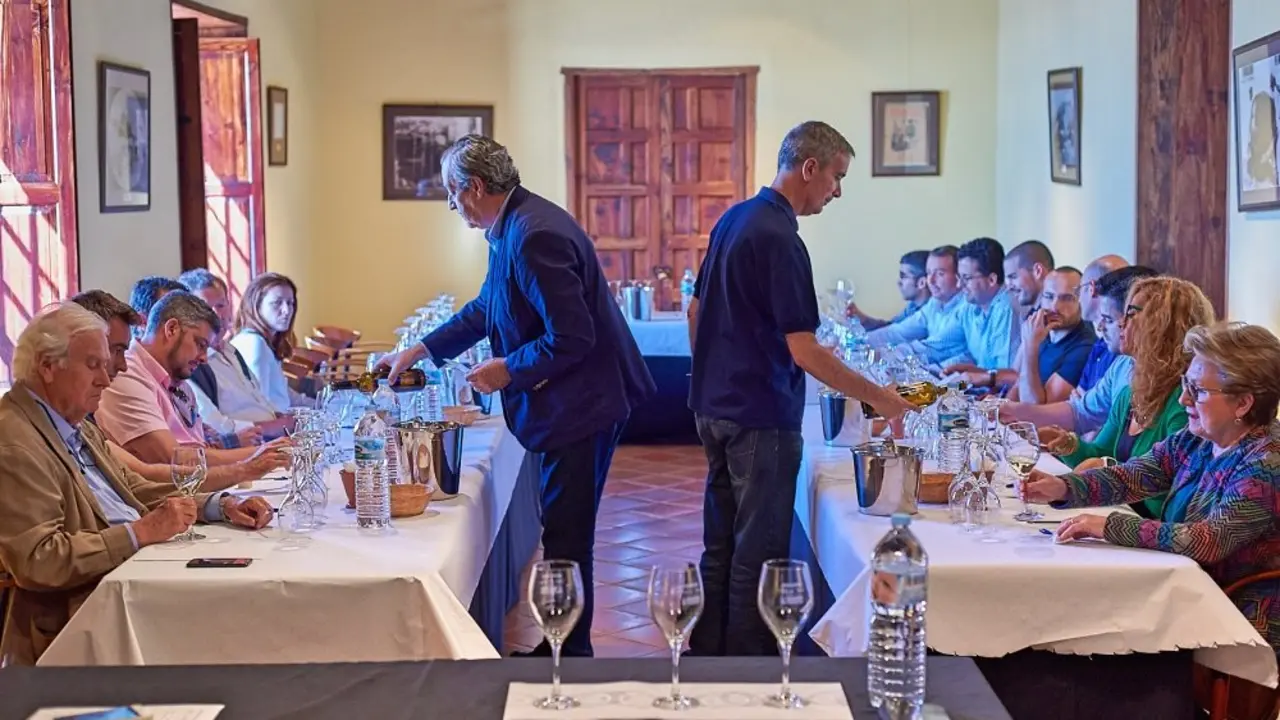 Presenatci&oacute;n vinos proyecto Enomac